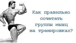 Как правильно сочетать группы мышц на тренировках?