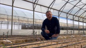 Présentation du rosier Alexandra David Neel® par Arnaud Delbard