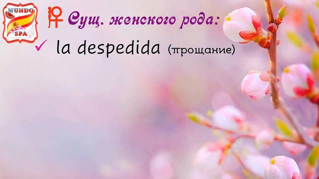 141. Бонусы в испанском. Часть 2. смотреть онлайн