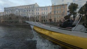 Риб Фортис 460Z