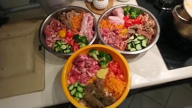 Что едят мои собаки. Натуральное кормление собаки. Доберман