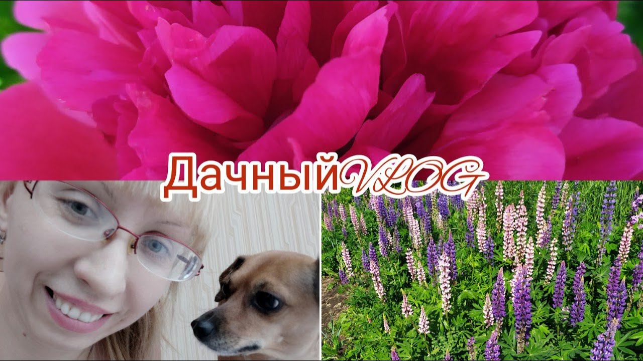 ДАЧНЫЙ ВЛОГ/Покупки на дачу