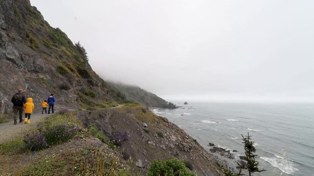 Our #1 Favorite Spot on our Full Time RV Journey - Redwood Forests смотреть онлайн