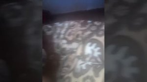 шняга шняжная жизнь общажная