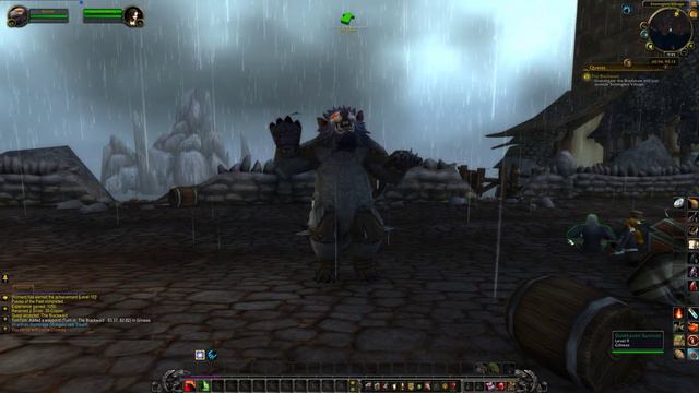 Druid's Bear form dance | World of Warcraft смотреть онлайн