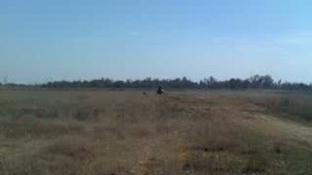 мотокросс