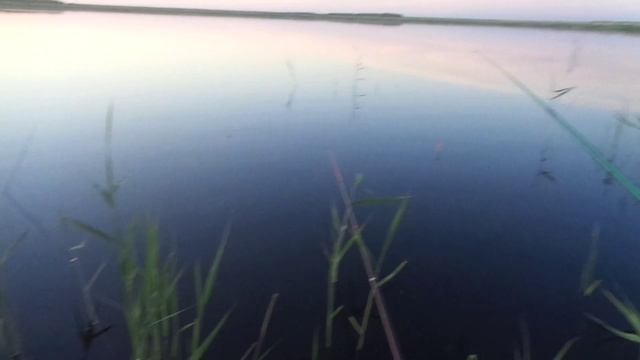 День Рыбака