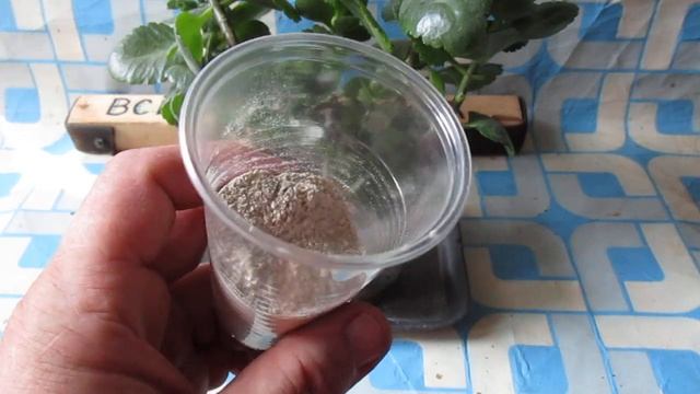 Эффективная Подкормка для Перца  Одна чайная ложка подкормки и быстро растёт даже вялая рассада