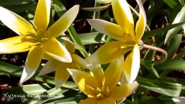 8 июня Карпов День. Что нельзя делать 8 июня. Народные традиции и приметы.