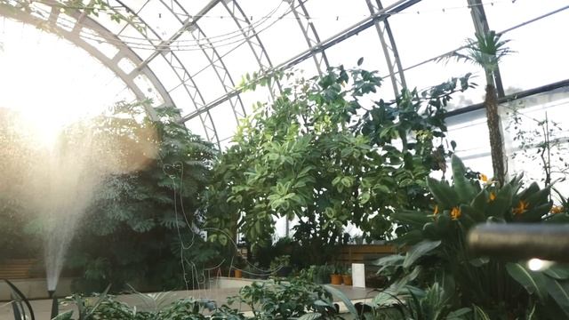 Детский велосипед ELECTRA CYCLOSAURUS смотреть онлайн