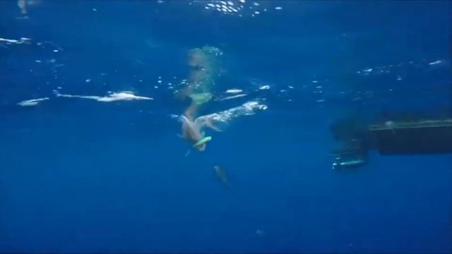 Приманка для рыб TWITCHING LURE смотреть онлайн