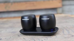 Sardine F1 - беспроводные стерео колонки