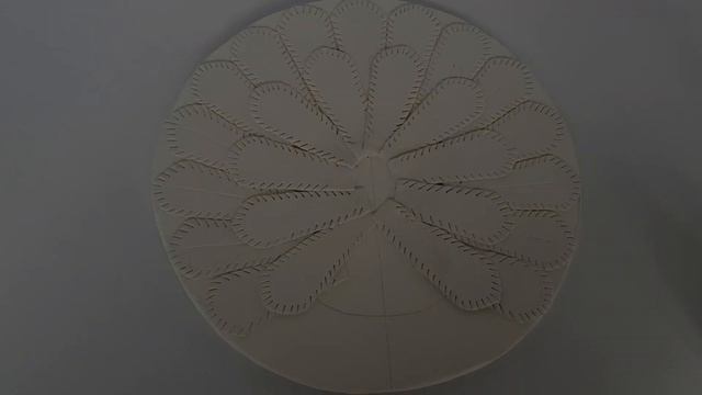 Cara Membuat Walldecor Berbentuk Merak Dari Kardus Bekas Dan Clay