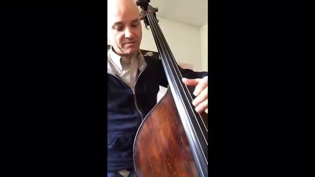 Contrabbasso creativo! Accordi Maj6 Reality Video! смотреть онлайн