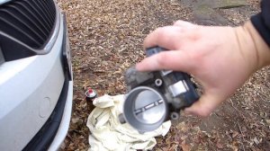 Skoda Rapid. Ужас немытого дросселя.