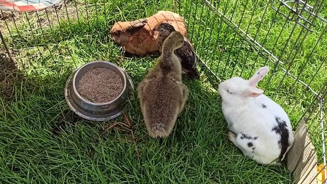 Детский сад?????❤ смотреть онлайн