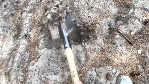 Металлоискатель MetaScan Tetta, работа на грунте, реальные условия.