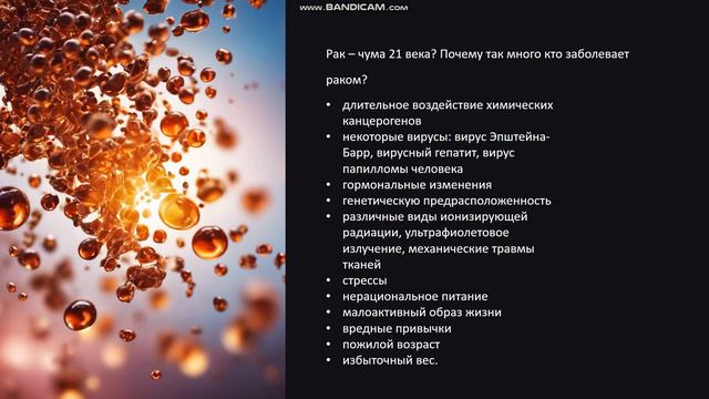 Почему мы стареем?Стареет ли наш мозг? Ч.1