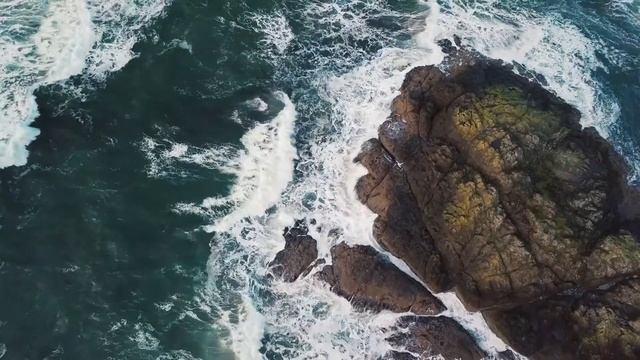 Влюбляются не в лица, не в фигуры - Стихотворение - Шаркунова Анна