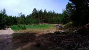 Мугреевский Бор