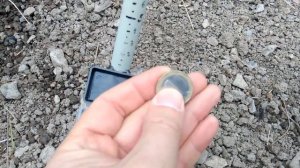 38x30cm. SEF Makro Racer 2 vs 28cm. base coil