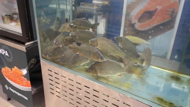 ГОТОВЛЮ КУКСИ/ЧУДО ДЛЯ ВОЛОС/УЧИМ ПРОФЕССИИ/ПЕРЕКРЁСТОК смотреть онлайн