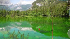 Как ловить хариуса новичкам в игре My Fishing world