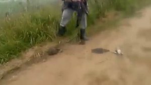 охота на уток, прикол из Интернета =)