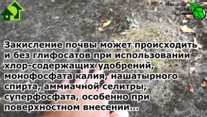 СРОЧНО ПРИМИТЕ МЕРЫ, если земля ПОЗЕЛЕНЕЛА! Тревожный симптом зеленой земли в теплице и огороде.