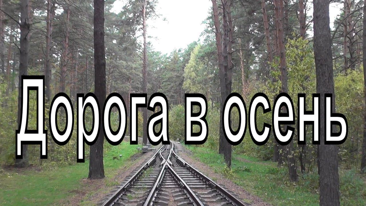 Дорога в осень. Железная дорога в лесу. Заельцовский парк осенью. Про Новосибирск.