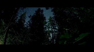 MFLEX SOUNDS - The secret of the forest /Dreamwave & Fantasy/