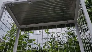 Вольер для кота на окно. "Броневик" Днепр.