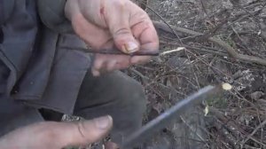 ПРИВИВКА ПОД КОРУ | МАСТЕР КЛАСС | ЧАСТЬ 3