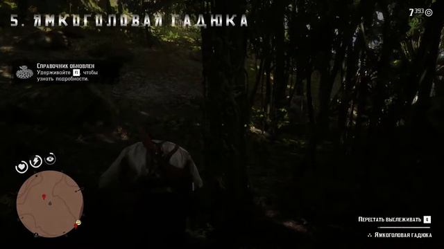 Животные Гуармы - Red Dead Redemption 2 [RUS] смотреть онлайн