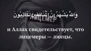 Махди аш Шишани красивое чтение Корана