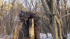 За новогодней ёлкой в зимний лес ??? Прикол