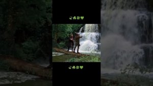 Michael Praed Michael Prince Robin Hood Робин Гуд Майкл Принс Майкл Прейд Майкл Прайд 🍃☘️🍀💚
