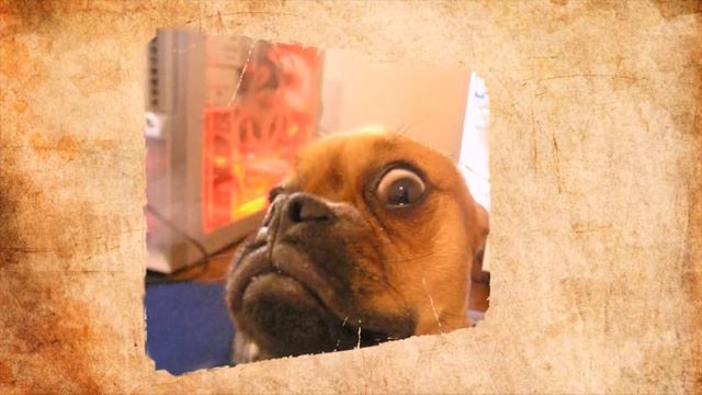 НУ КАК ЖЕ ОНИ НАС УДИВЛЯЮТ смотреть онлайн