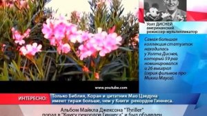 Мой мир. Реклама на сайте