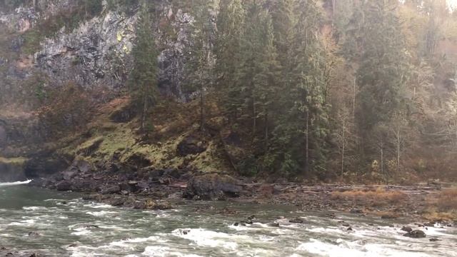 Твин Пикс: водопад, волшебный лес и чертовский вкусный кофе смотреть онлайн