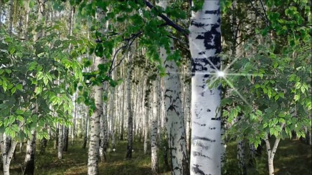 Песня: Солнце весеннее всё оживляет