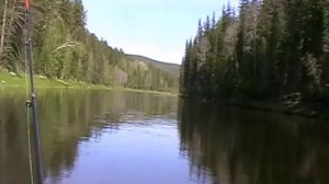 рыбалка на реке илим-туна