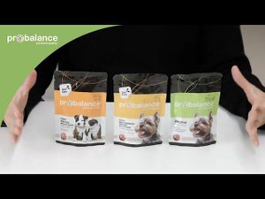 Новинка! Паучи для собак Probalance
