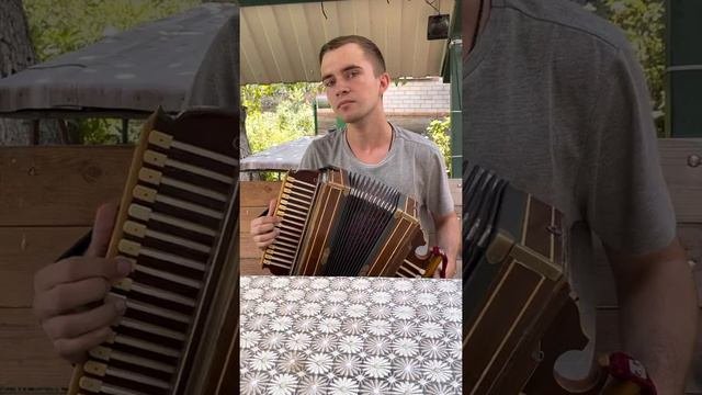 Песня «Зараза, брось!» на рояльной гармони.