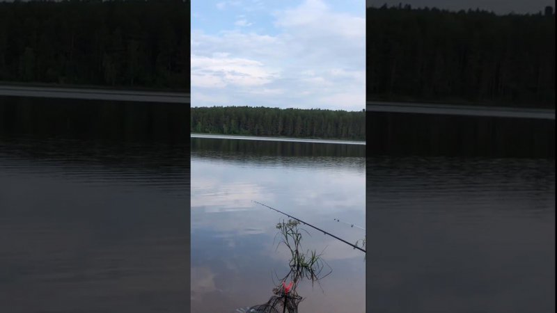 Вечерний Дзен  #рыбалка #fishing #озеро #природа #отдых