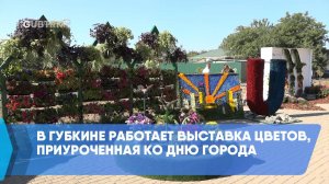 В Губкине работает выставка цветов, приуроченная ко Дню города