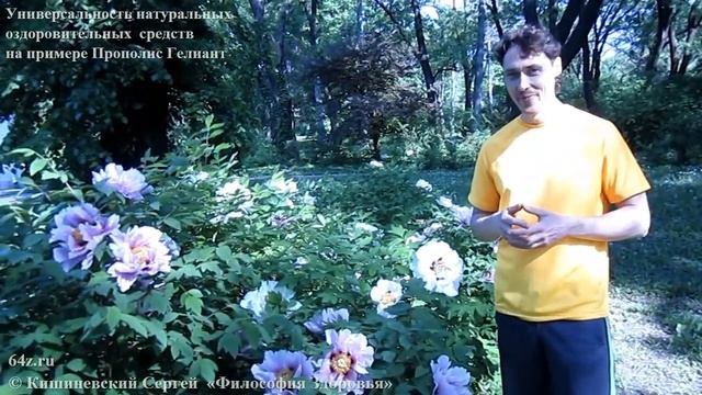 Универсальность Прополис Гелиант смотреть онлайн