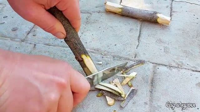 Такой бордюрчик в магазине стоит дорого, а мы сделали бесплатно!
