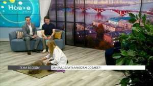 Зачем делать массаж собаке?