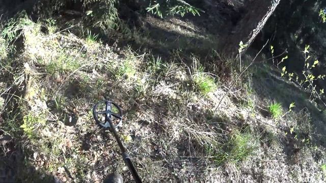 А как поют птицы в лесу! Ищу старую лесную дорогу. Looking for an old forest road. смотреть онлайн